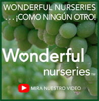 Wonderful Nurseries Digital Ad